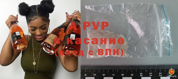 спиды Новодвинск