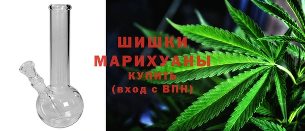 амф Новозыбков