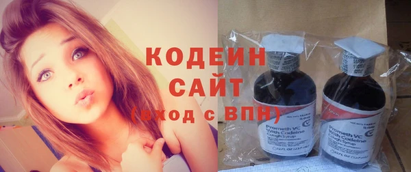 амф Новозыбков