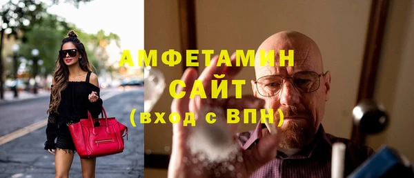 амф Новозыбков