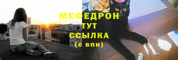 амф Новозыбков