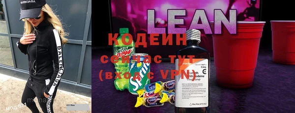 амф Новозыбков