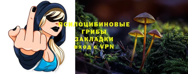 твердый Нефтекумск